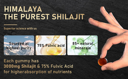Xilaizhi Gummies – 60 Cápsulas en Lata, Suplemento Delicioso para Energía y Bienestar Diario